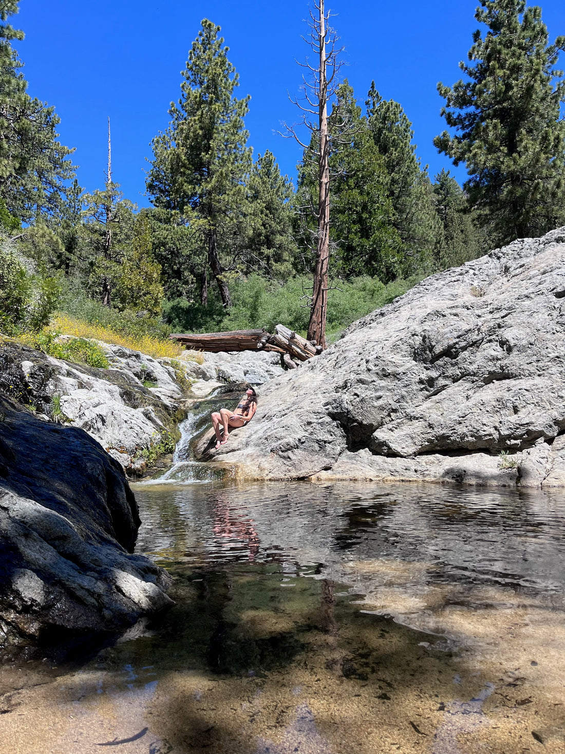 Buckhorn Campground